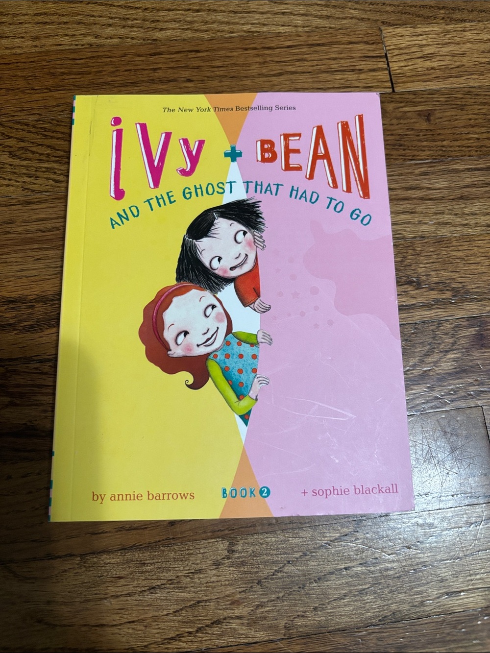Ivy + Bean and the Ghost That Had to Go Book 2